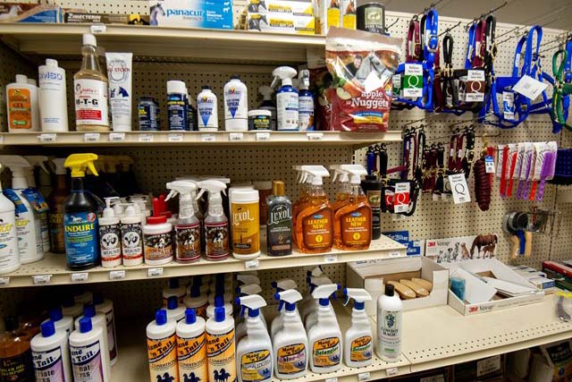 Equine Section - Moore