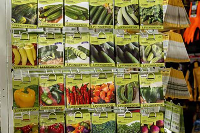 Vegetable seed packs